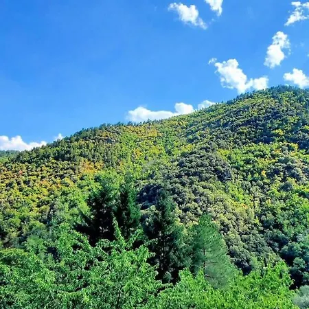 Gite De Combelebouze En Cevennes - Cosy, Confort Et Climatise - 3 Etoiles Saint-Privat-de-Vallongue Exterior photo