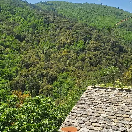 Gite De Combelebouze En Cevennes - Cosy, Confort Et Climatise - 3 Etoiles Saint-Privat-de-Vallongue Exterior photo