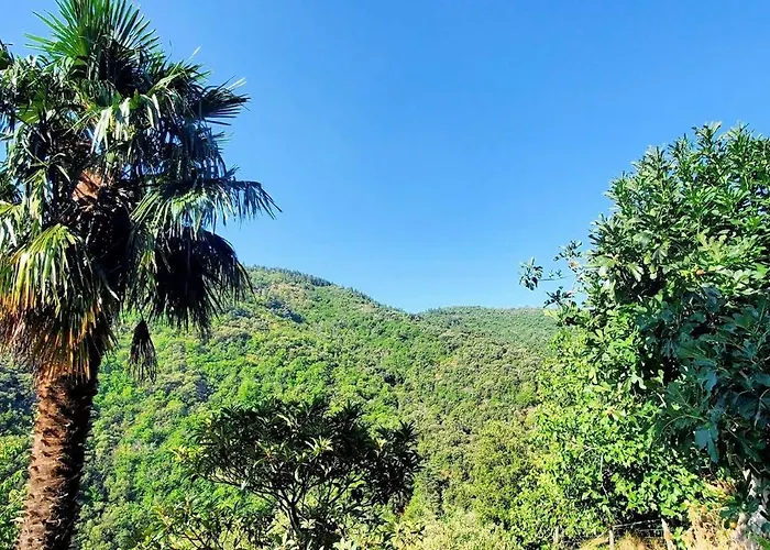 Gite De Combelebouze En Cevennes - Cosy, Confort Et Climatise - 3 Etoiles