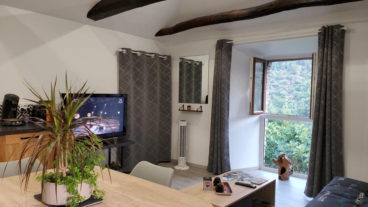 De Combelebouze En Cevennes - Cosy, Confort Et Climatise - 3 Etoiles