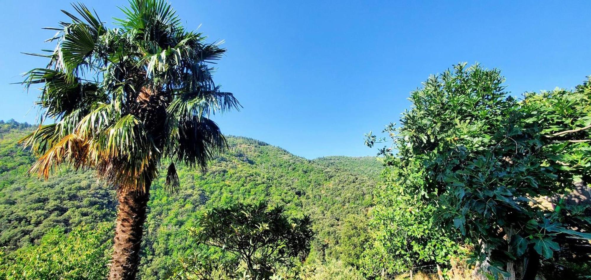 Holiday home De Combelebouze En Cevennes - Cosy, Confort Et Climatise - 3 Etoiles Saint-Privat-de-Vallongue