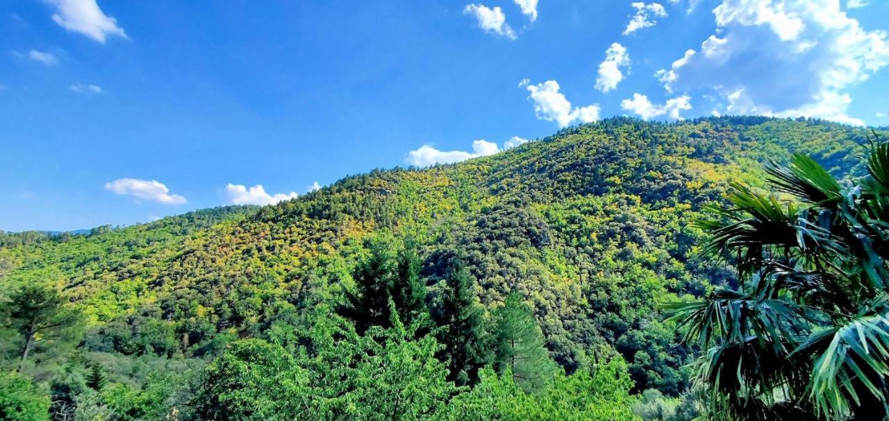 De Combelebouze En Cevennes - Cosy, Confort Et Climatise - 3 Etoiles Holiday home Saint-Privat-de-Vallongue