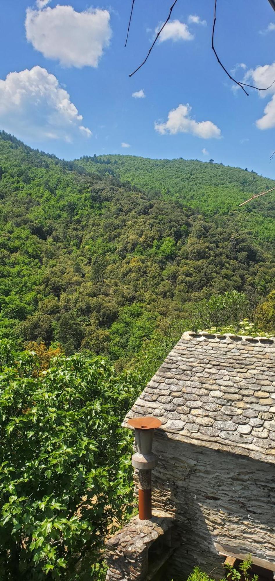 Holiday home De Combelebouze En Cevennes - Cosy, Confort Et Climatise - 3 Etoiles *