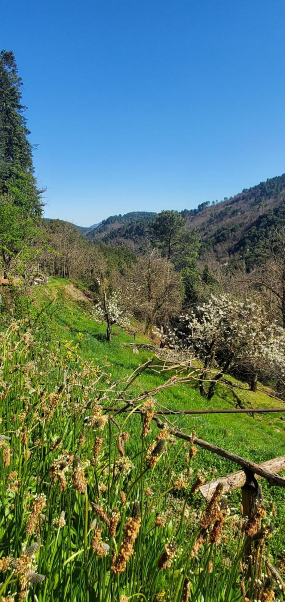 De Combelebouze En Cévennes - Cosy Et Confort - 3 étoiles * Saint-Privat-de-Vallongue
